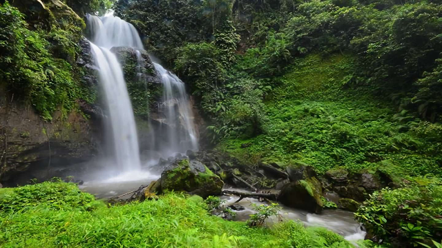 Air Terjun Tlepak: Pesona Alam Tersembunyi